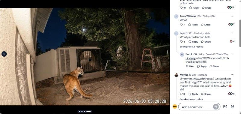 AI Frightened an Entire Neighborhood with a Fake 'Predator'
